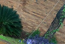 Una docente murió electrocutada al pisar un cable suelto de la ANDE