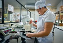 Sostenido aumento de empleos formales, según datos del Ministerio de Trabajo