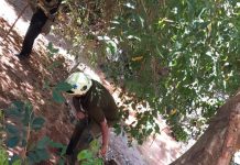 Hallan un cuerpo con similitudes al de Tobías