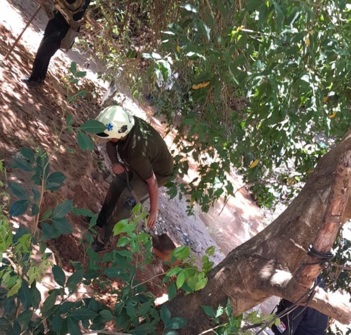 Hallan un cuerpo con similitudes al de Tobías