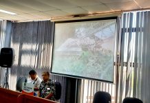 Declaran en emergencia puentes peatonales