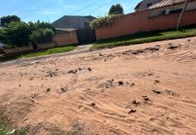 Vecinos de Los Nogales piden arreglo de calle