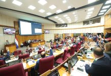 Caja fiscal: aprueban con modificaciones proyecto