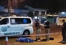 Una mujer murió luego de ser atropellada por una camioneta mientras cruzaba la ruta