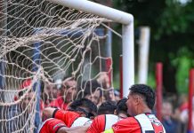 Se van consolidando algunos