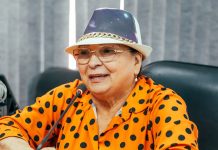 Presidentes de comités rechazan declaraciones de Dorotea Villarreal