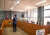 Urgen destroncar eucaliptos de Vittorio Curiel «que representen un riesgo para la seguridad de las personas»