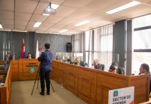 Urgen destroncar eucaliptos de Vittorio Curiel «que representen un riesgo para la seguridad de las personas»