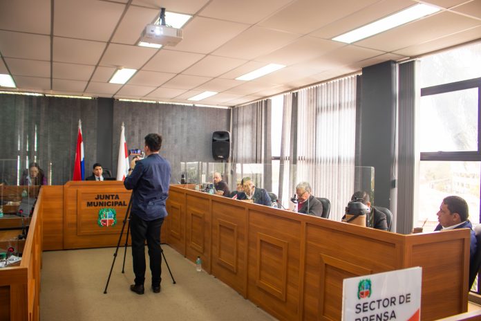 Urgen destroncar eucaliptos de Vittorio Curiel "que representen un riesgo para la seguridad de las personas"