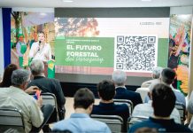 Paraguay presenta su primera Política Forestal Nacional para impulsar el desarrollo sostenible del sector