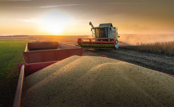 La economía crece un 5,6 % en el primer semestre impulsada por tres sectores clave