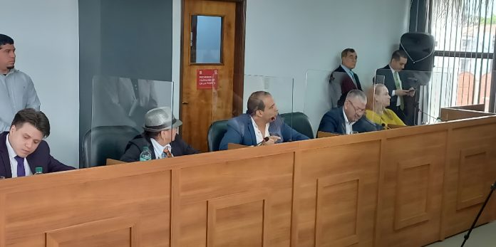 Modifican ordenanza de arbolado urbano y apuntan con dureza contra el director de Medio Ambiente